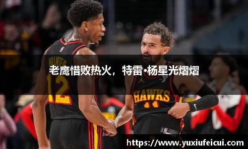 老鹰惜败热火，特雷·杨星光熠熠