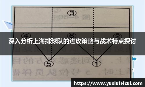 k1体育网页版